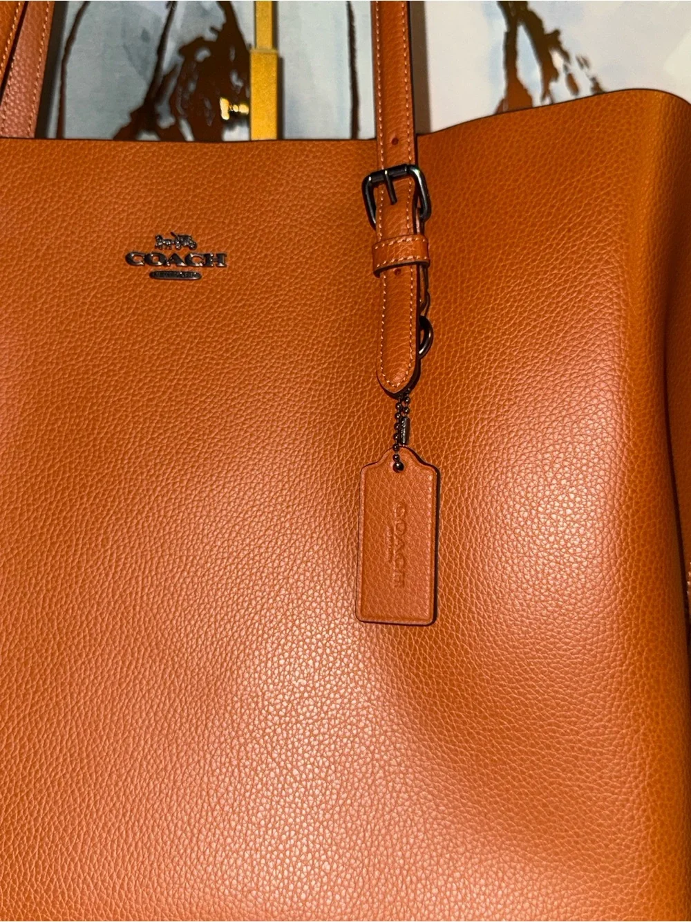 Coach Mollie Tote